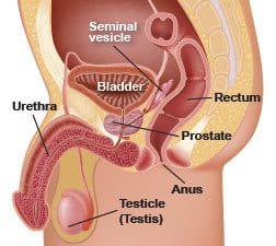 prostate test nhs)
